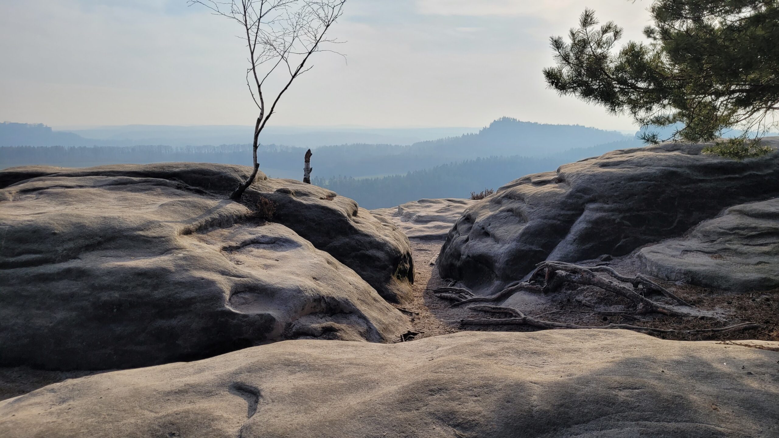 Aussicht von einem der kleinsten Tafelberge der Sächsischen Schweiz