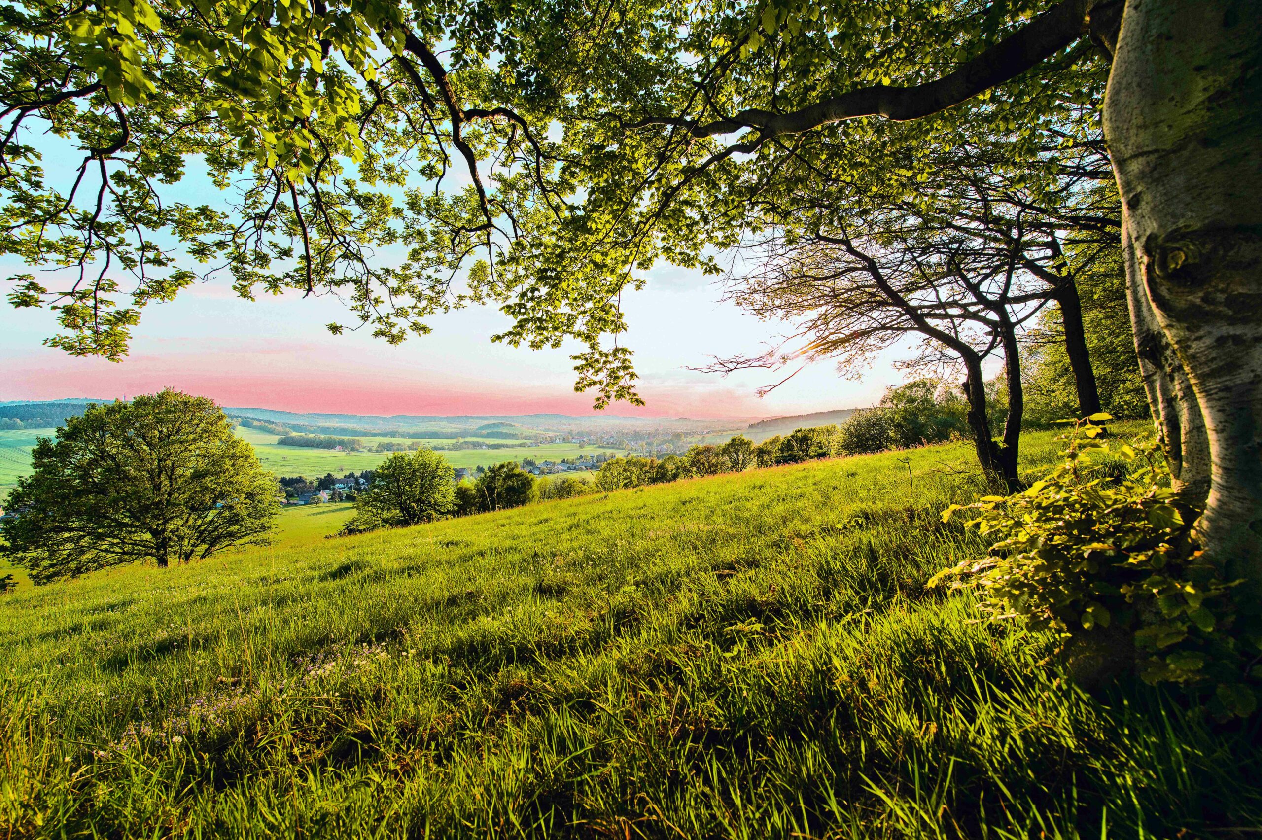 Ausblick bei Wanderung um Neustadt in Sachsen