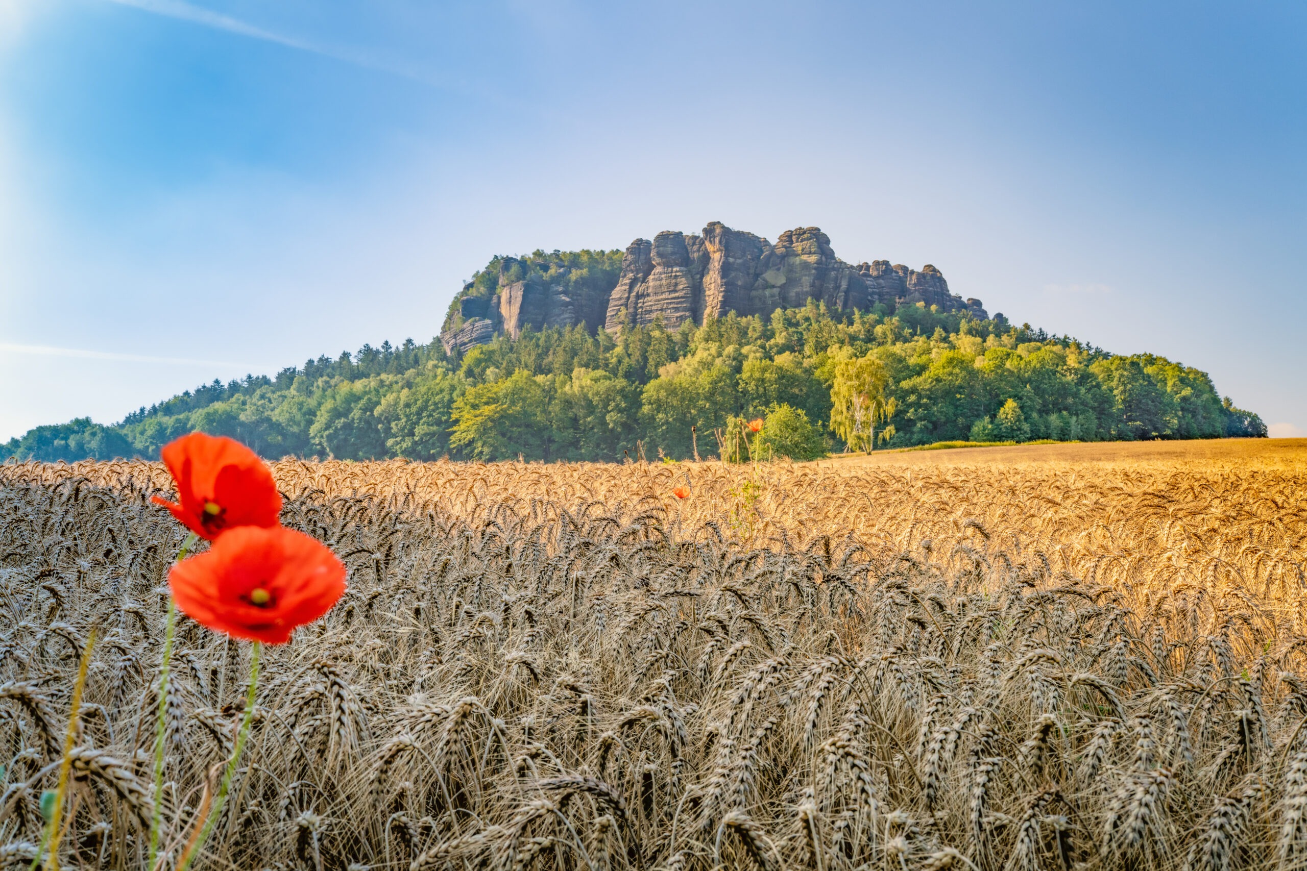 Blick auf den Pfaffenstein Saechsische Schweiz