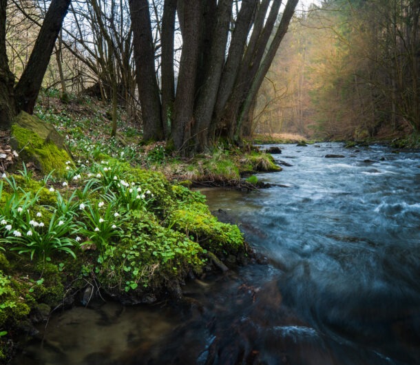 Wandern im Fruehling in der Saechsischen Schweiz