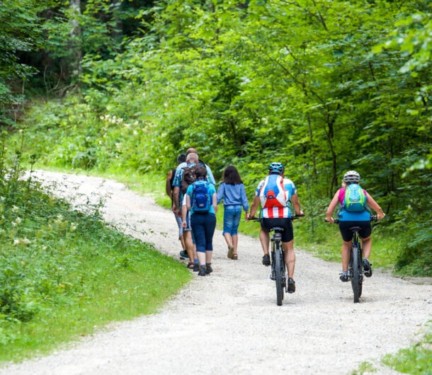 radweg-saechsische-schweiz