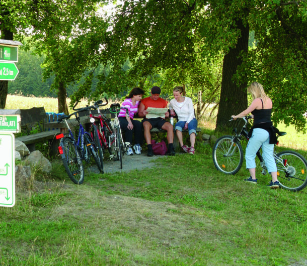 Radfahrer schauen in eine Radkarte, sitzen auf einer Bank unter einem Baum, auf dem Radweg rund um Neustadt