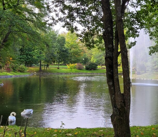 Parkanlage mit Teich in Neustadt in Sachsen